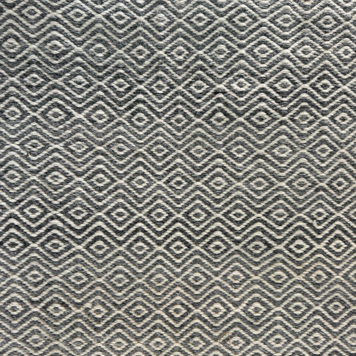 Serena and Lily Seaview Rug 2X3 enliven mart