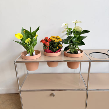 USM Haller 2X2 Planter - Beige