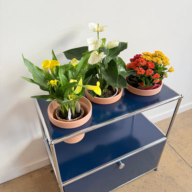 USM Haller 1X2 Planter - Steel Blue