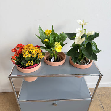 USM Haller 1X2 Planter - Mid Grey