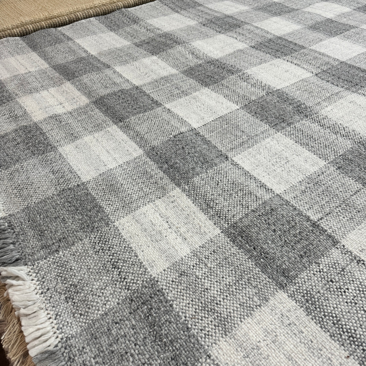New! Serena and Lily 8x10 Gingham rug